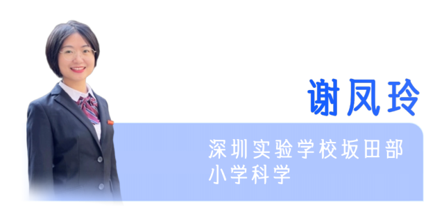 37_1790231893.png